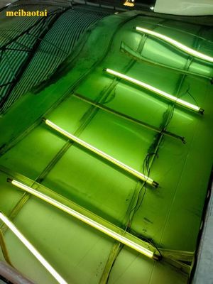 Green Mirror Color Sheet Pvd Lớp phủ trang trí Stainless Steel Plate